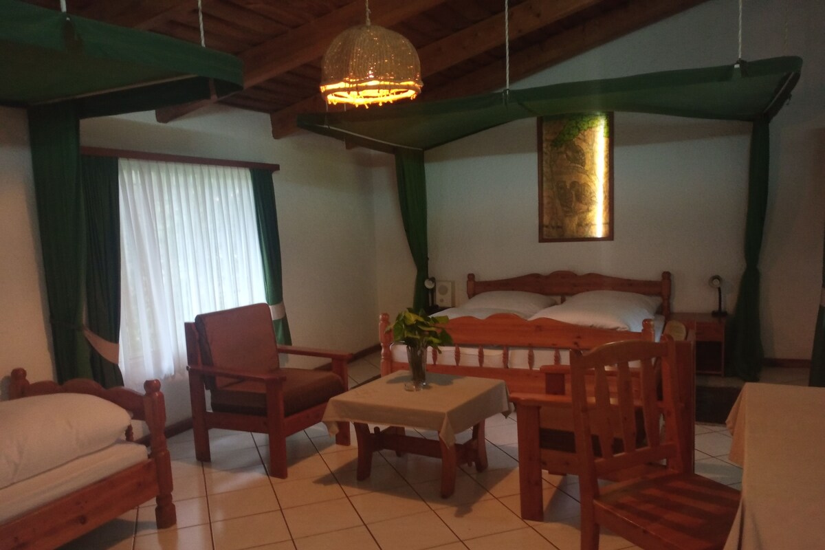 Una habitación con una cama, dos sillas de madera, una mesita y una lámpara colgante.
