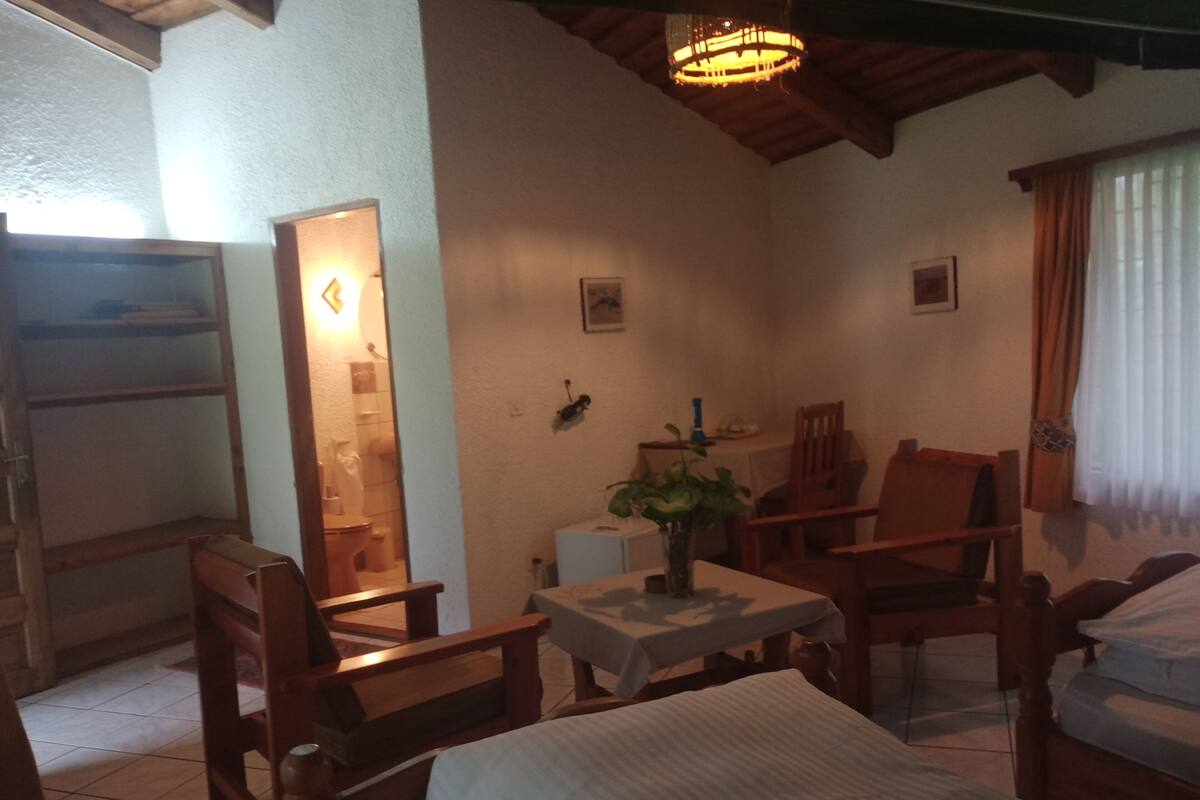 A cozy room with a bed, two wooden chairs, a small table with a plant, and a mirror reflecting a bathroom.