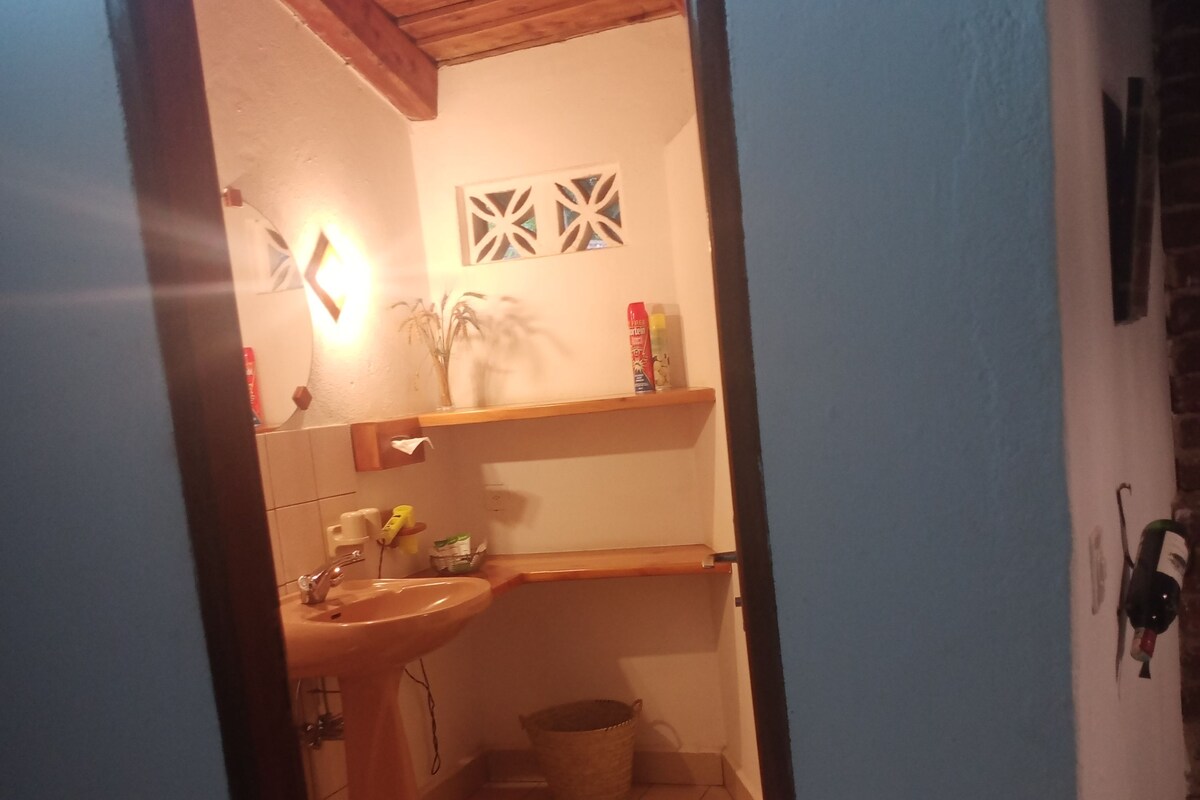 Un baño con techo de madera, un lavamanos, un espejo, una planta y un estante con artículos de aseo.