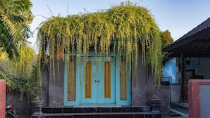Una puerta turquesa con detalles amarillos, rodeada de abundante vegetación y una pequeña escalera que conduce a ella.