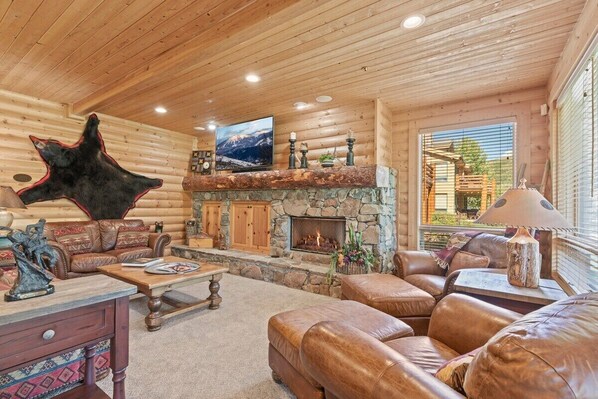 TV, caminetto, lettore DVD, studio