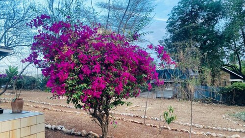 15 Minutes to Jomo Kenyatta Airport and SGR station 