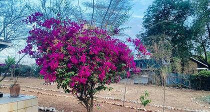 15 Minutes to Jomo Kenyatta Airport and SGR station