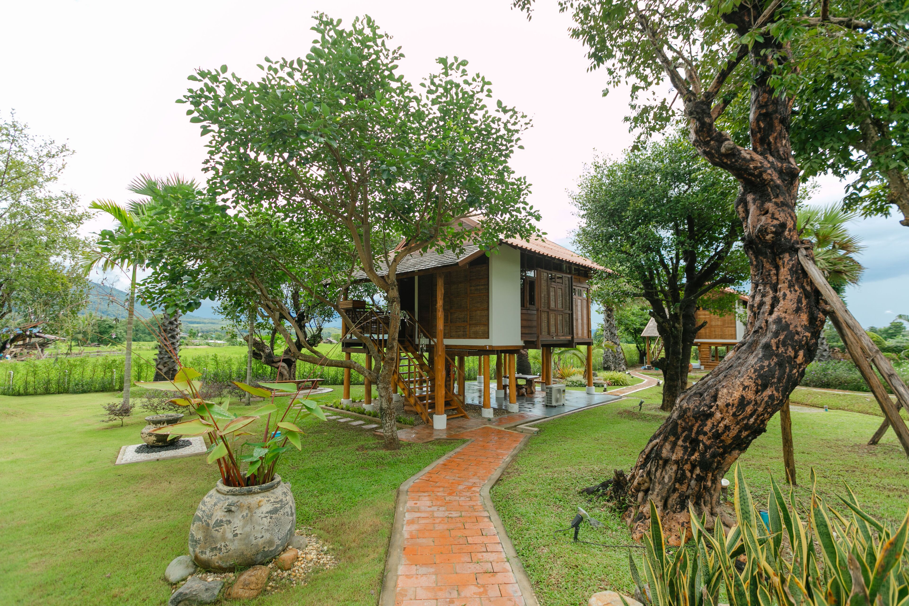 A wooden house with a brick pathway leading to it, surrounded by lush greenery and trees.