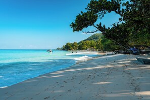 A beach with clear blue water, sandy shore, and a tree-lined backdrop. - Thalassa Seychelles Hotel Apartments (Mahé Island)