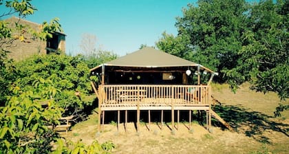 Glamping Lodge Monet | Domaine du Cammazet | Pool| Comfort | Nature