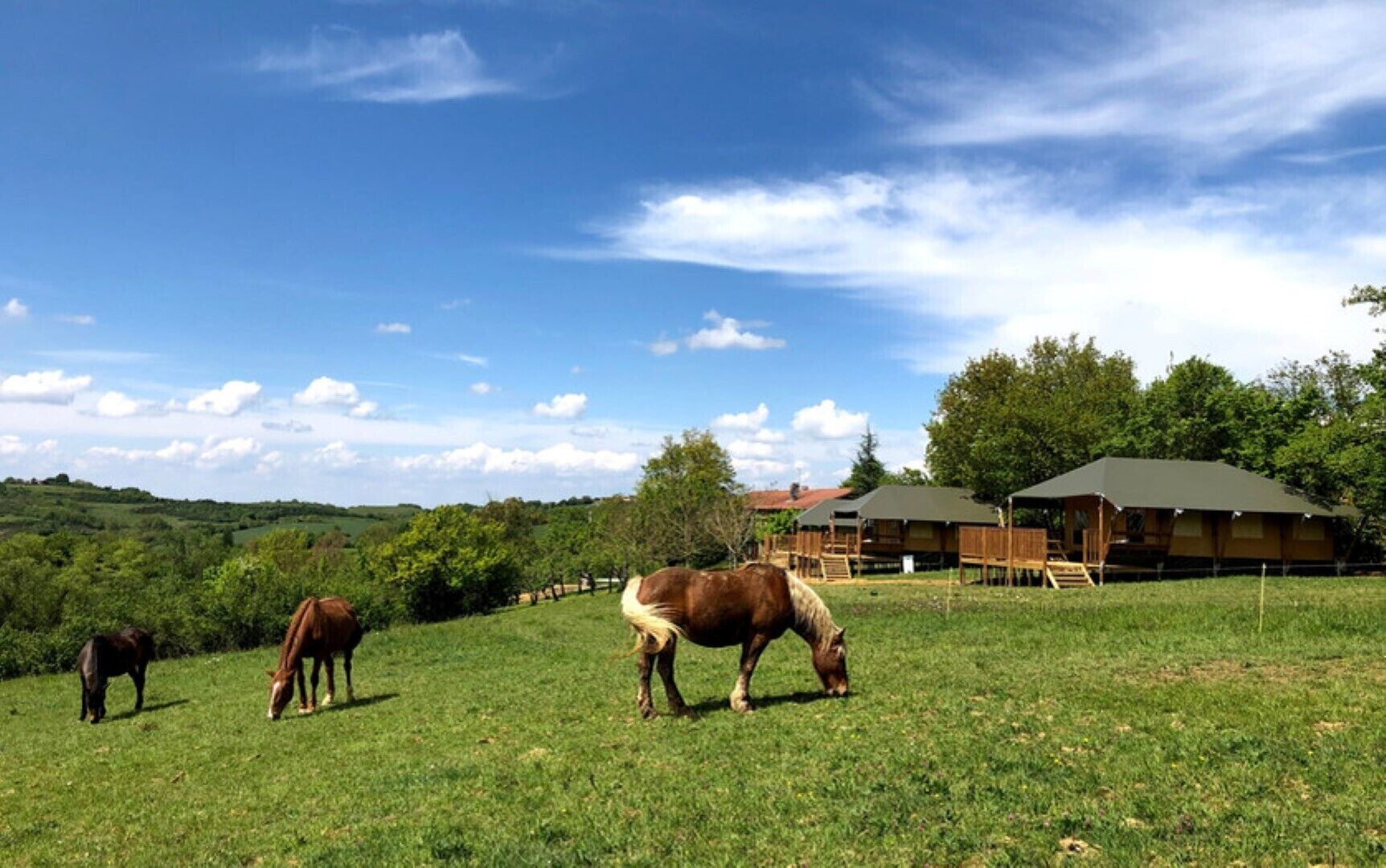 Ländliche Szenerie mit weidenden Pferden auf einer Wiese, einer Holzhütte und einem größeren Gebäude mit Gründach.