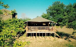 Property grounds - Glamping Lodge Lautrec | Domaine du Cammazet | Pool| Comfort | Nature (Lapenne)