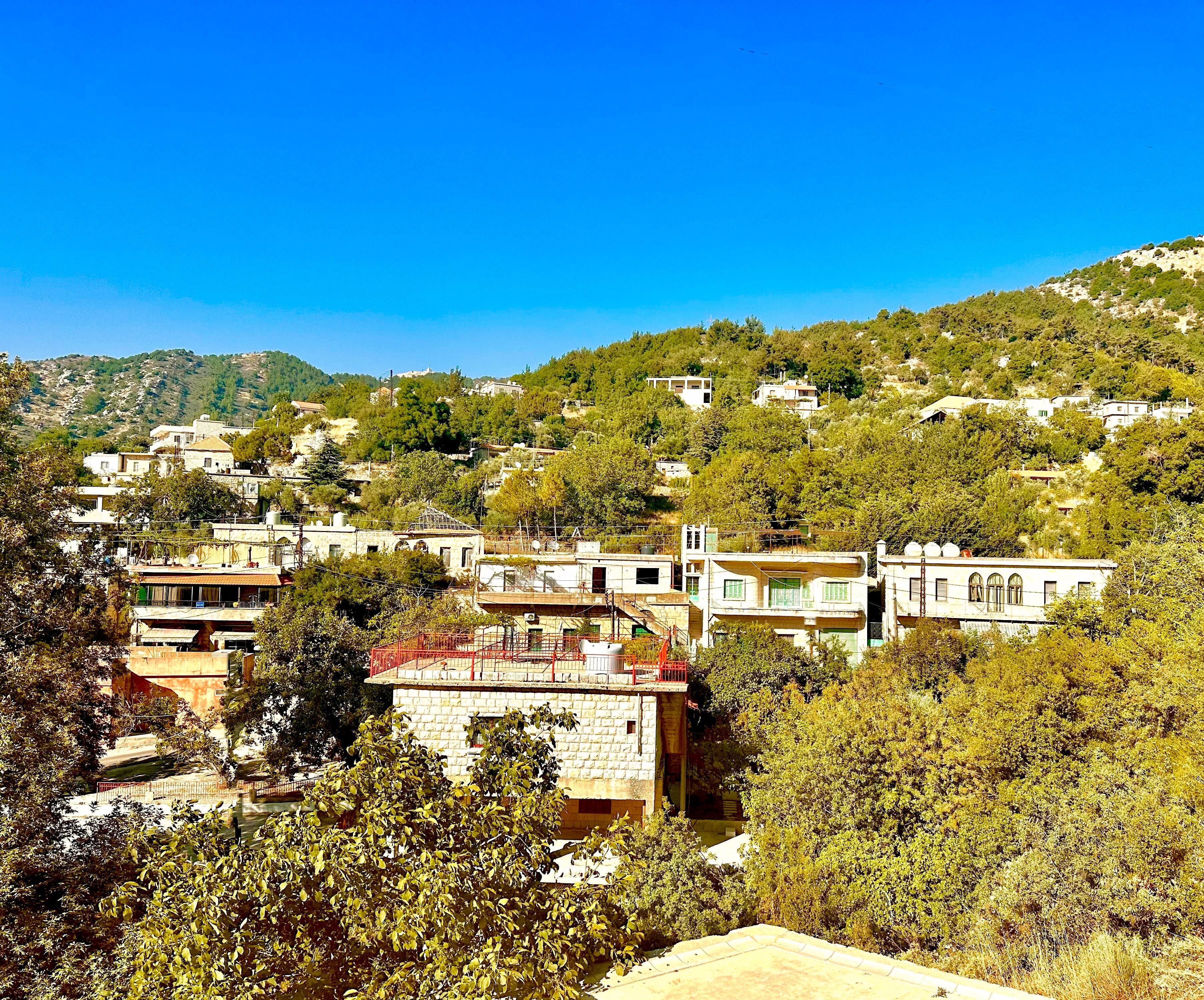 A hillside village with traditional architecture, narrow streets, and dense greenery.