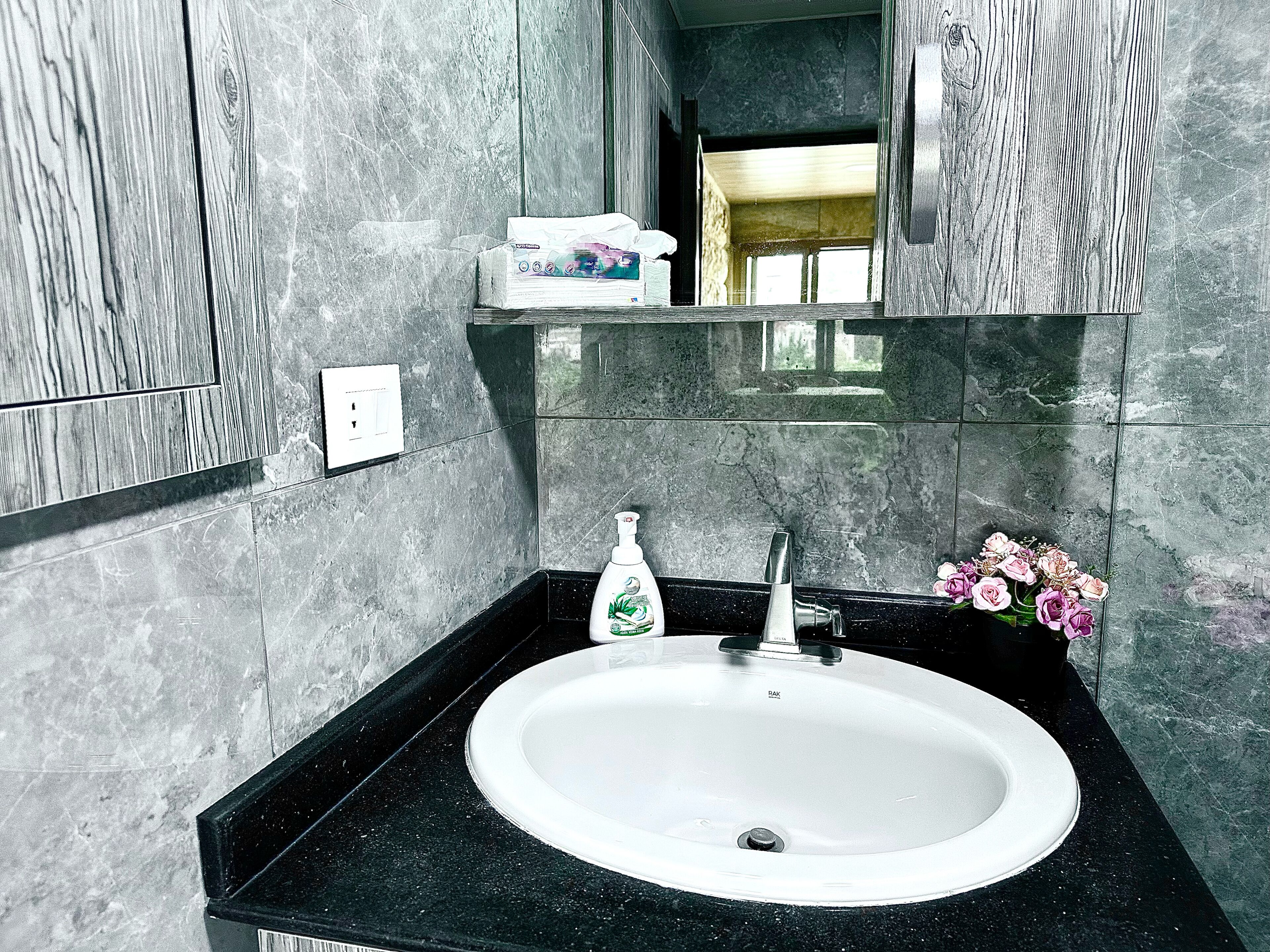 A bathroom with a white sink, black countertop, and a mirror above it.