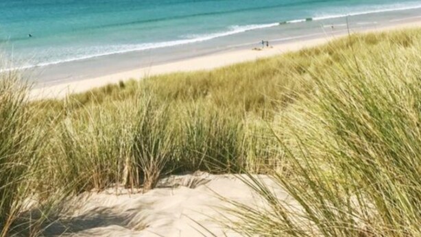 A beach with sand dunes and grass in the foreground, leading to the ocean. - Sant'Anna house on Brionis estate with large veranda overlooking the sea (Alghero)
