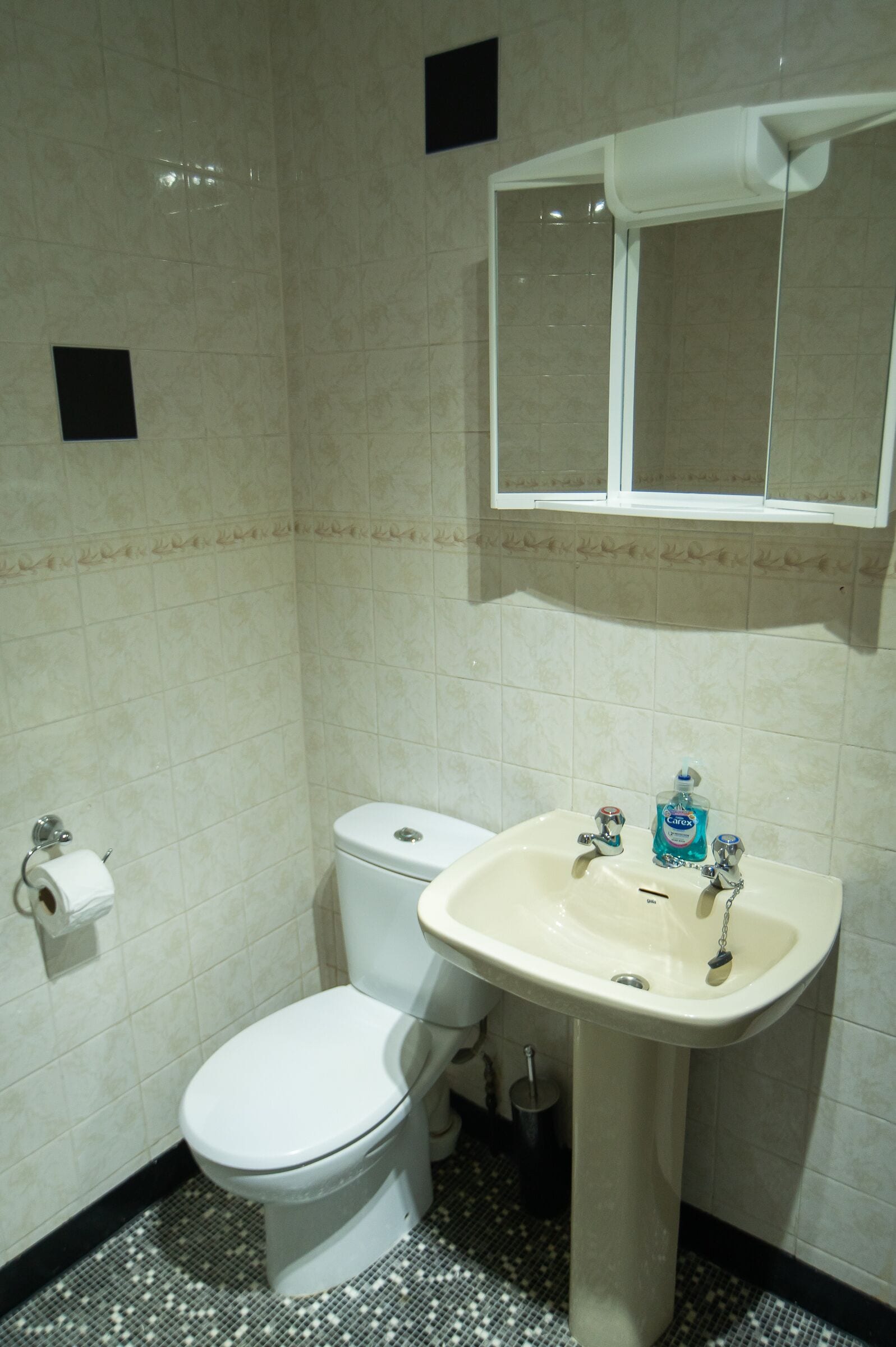 Une salle de bain avec des toilettes, un lavabo et un miroir.