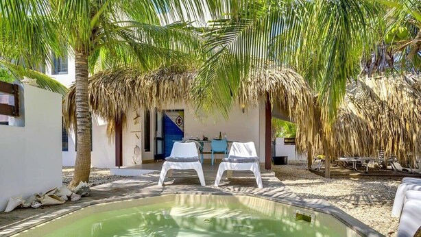 A pool area with two white lounge chairs, a thatched roof structure, and a palm tree.