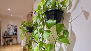 Un couloir orné d’une série de jardinières suspendues au mur, avec un plancher en bois et une petite table sur laquelle sont disposés une plante et des objets décoratifs, le tout sur un fond flou.