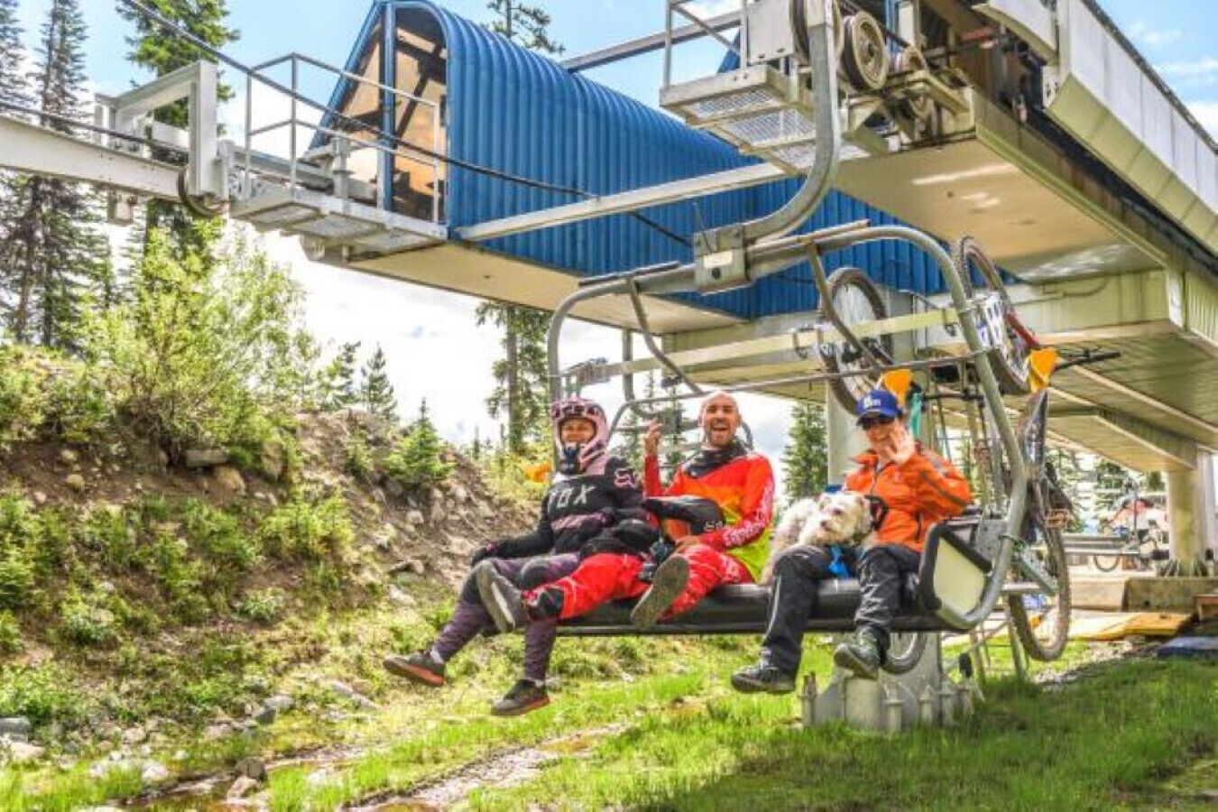 Een skileer met drie personen, omringd door groen en bomen.
