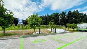 Une zone de stationnement délimitée par des marquages verts, un panneau indiquant une heure de fermeture à 18 heures, et une borne de recharge pour véhicules électriques, également de couleur verte.