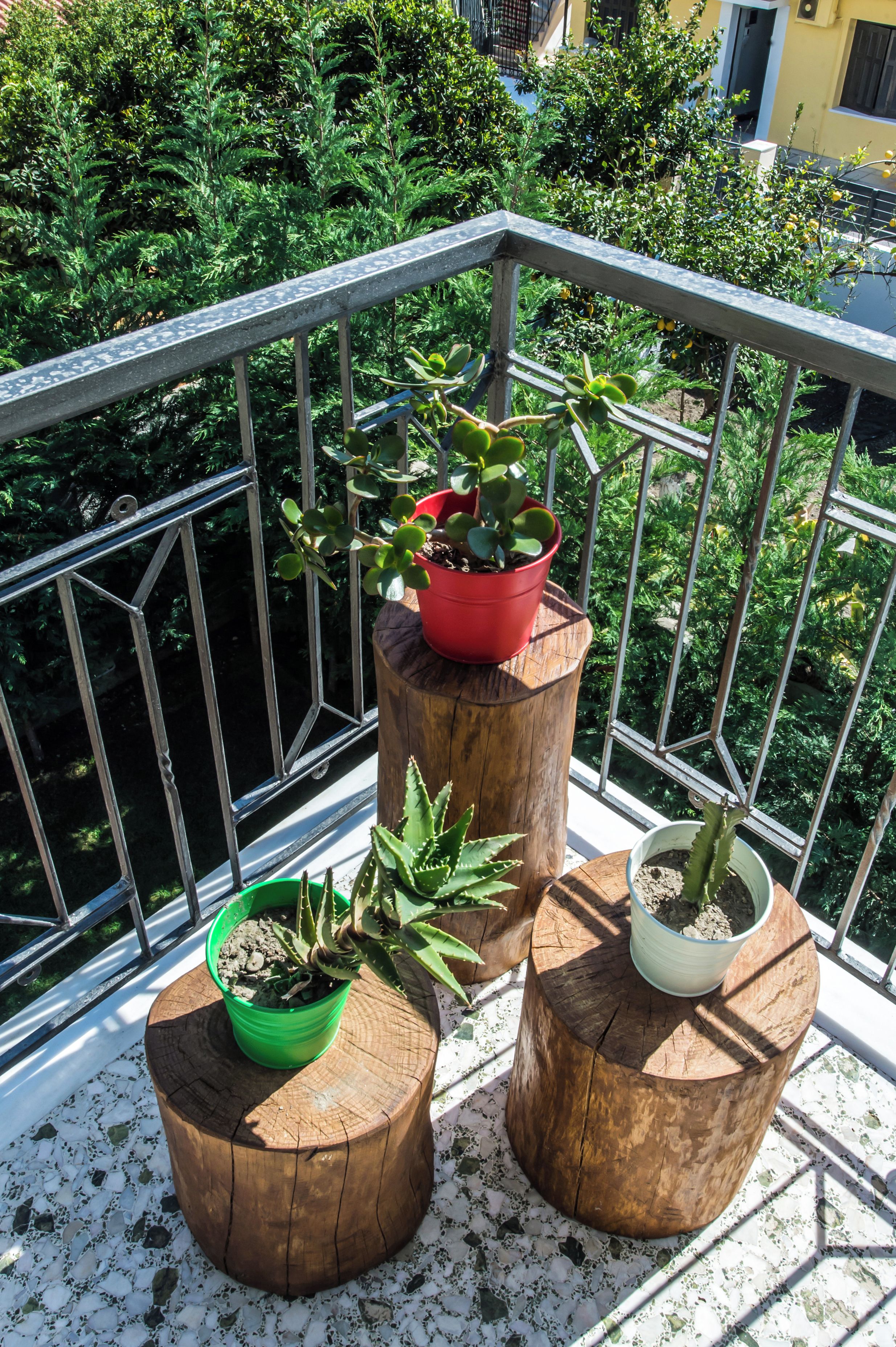 Ein Balkon mit drei hölzernen Pflanzkästen und Blumentöpfen.