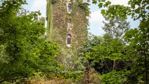 Une tour de château aux murs recouverts de lierre, entourée d’une végétation luxuriante.