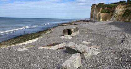 Les Mouettes, sea view, 100 metres from the beach