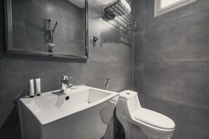 Regadera, secadora de cabello, batas, bidet 