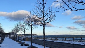 Ein mit Schnee bedeckter Weg, gesäumt von kahlen Bäumen und einer Steinmauer, der zu einem Gewässer führt.