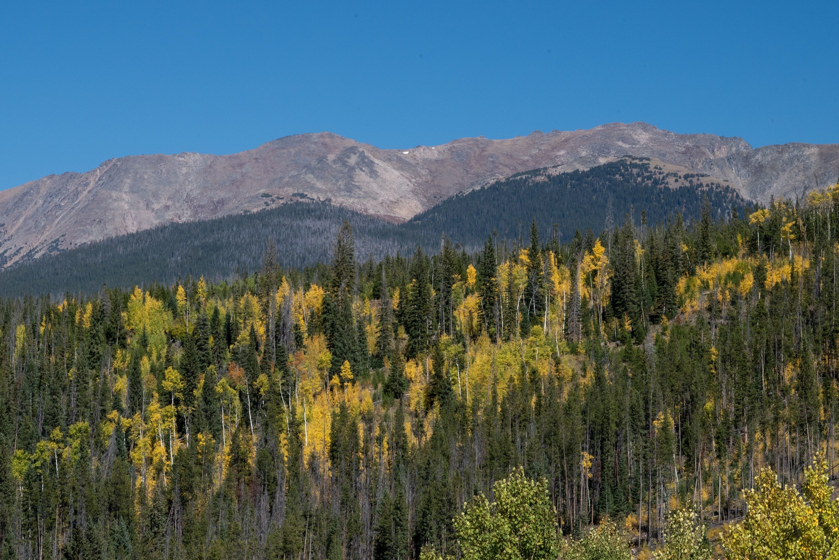 A mountainous landscape with dense forests and clear blue skies.
