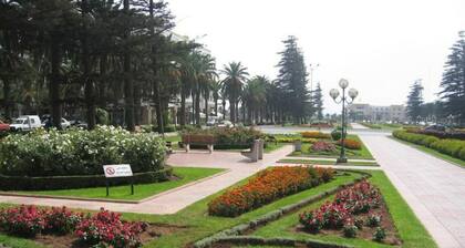 Appartement Avec Piscine