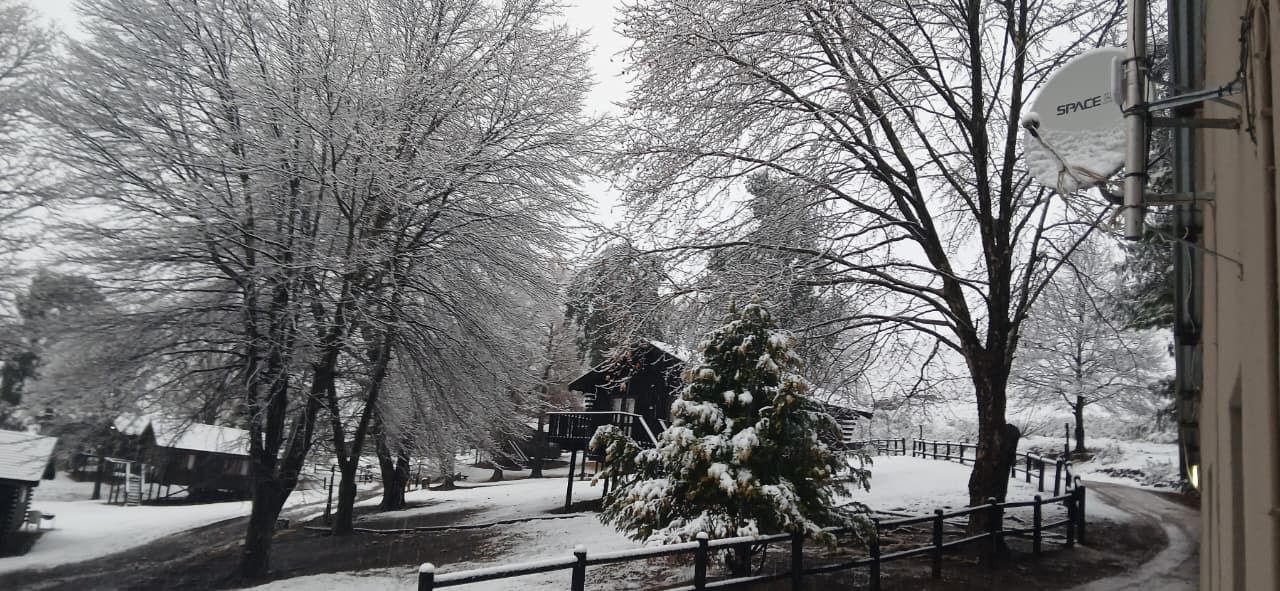 A snow-covered landscape with a tree and a building.