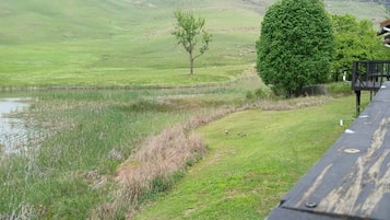 A grassy landscape with a pond, a tree, and hills in the background.