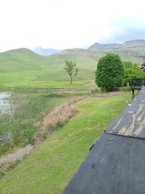 Eine grüne Landschaft mit Teich, Baum und Hügeln im Hintergrund.