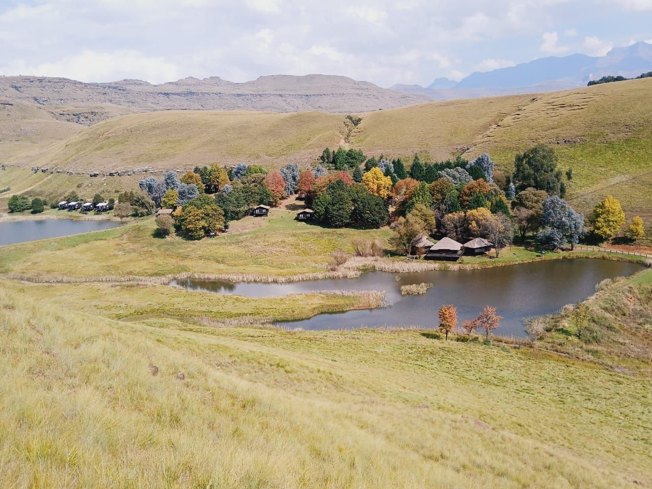 Un paisaje rural con un lago, colinas onduladas y árboles dispersos.
