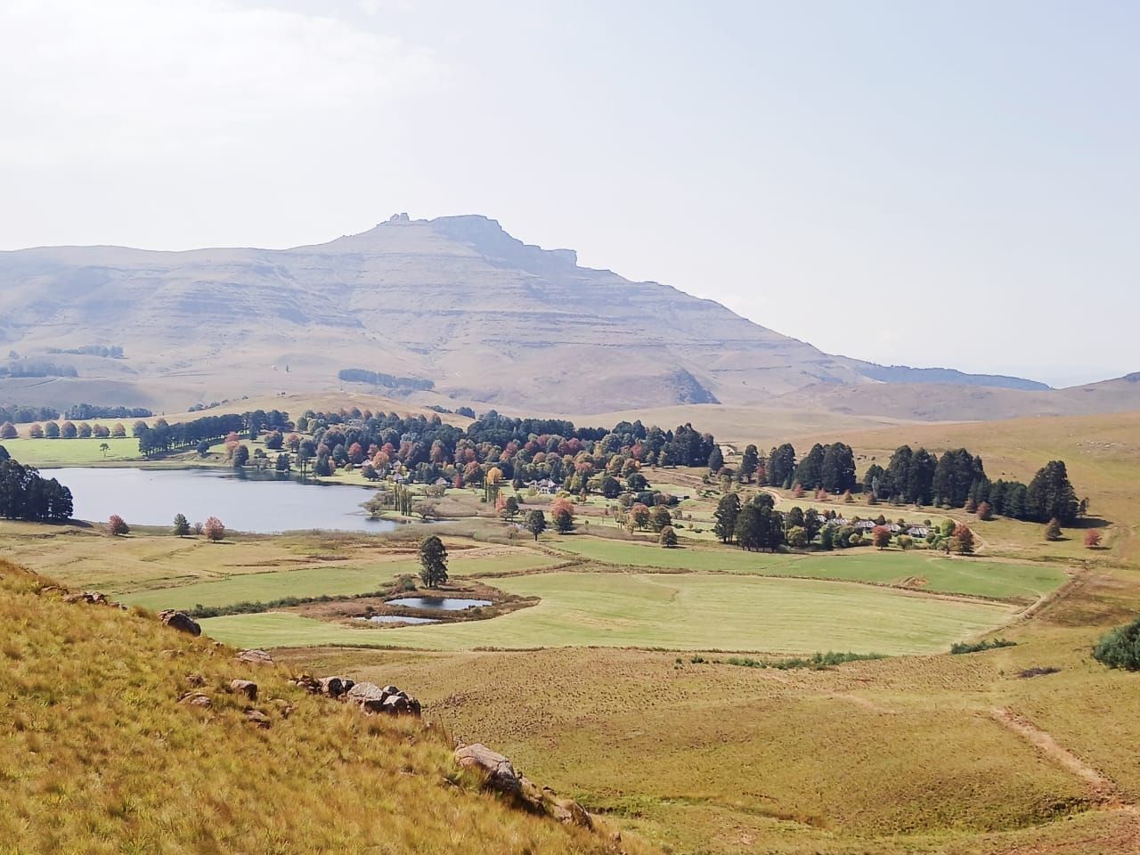 Une vue panoramique d’un paysage rural avec un lac, des collines ondoyantes et des arbres dispersés.
