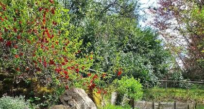 Jolie maison - Vallée de la Bruche prÚs des Vosges