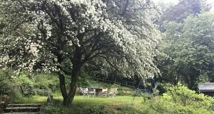 Jolie maison - Vallée de la Bruche prÚs des Vosges