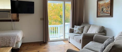 Télévision, cheminée, lecteur de DVD, livres