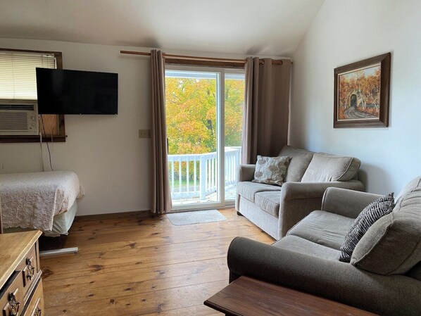 TV, fireplace, DVD player, books