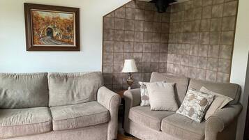 TV, fireplace, DVD player, books