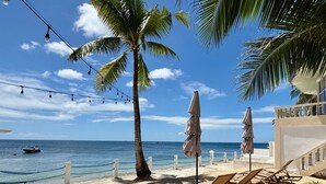 A beach with lounge chairs and umbrellas, a palm tree, and a view of the ocean. - Lanas Beach Resort - Carabao Island (Carabao Island)