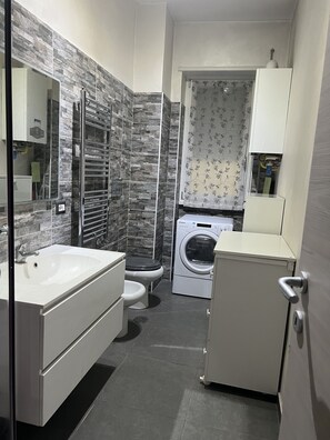 Shower, hair dryer, bidet, towels