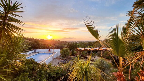 Zona de piscina con vistas al atardecer, rodeada de exuberante vegetación y palmeras.