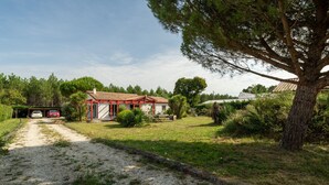 Une maison avec une allée en gravier, entourée de verdure et d’arbres.