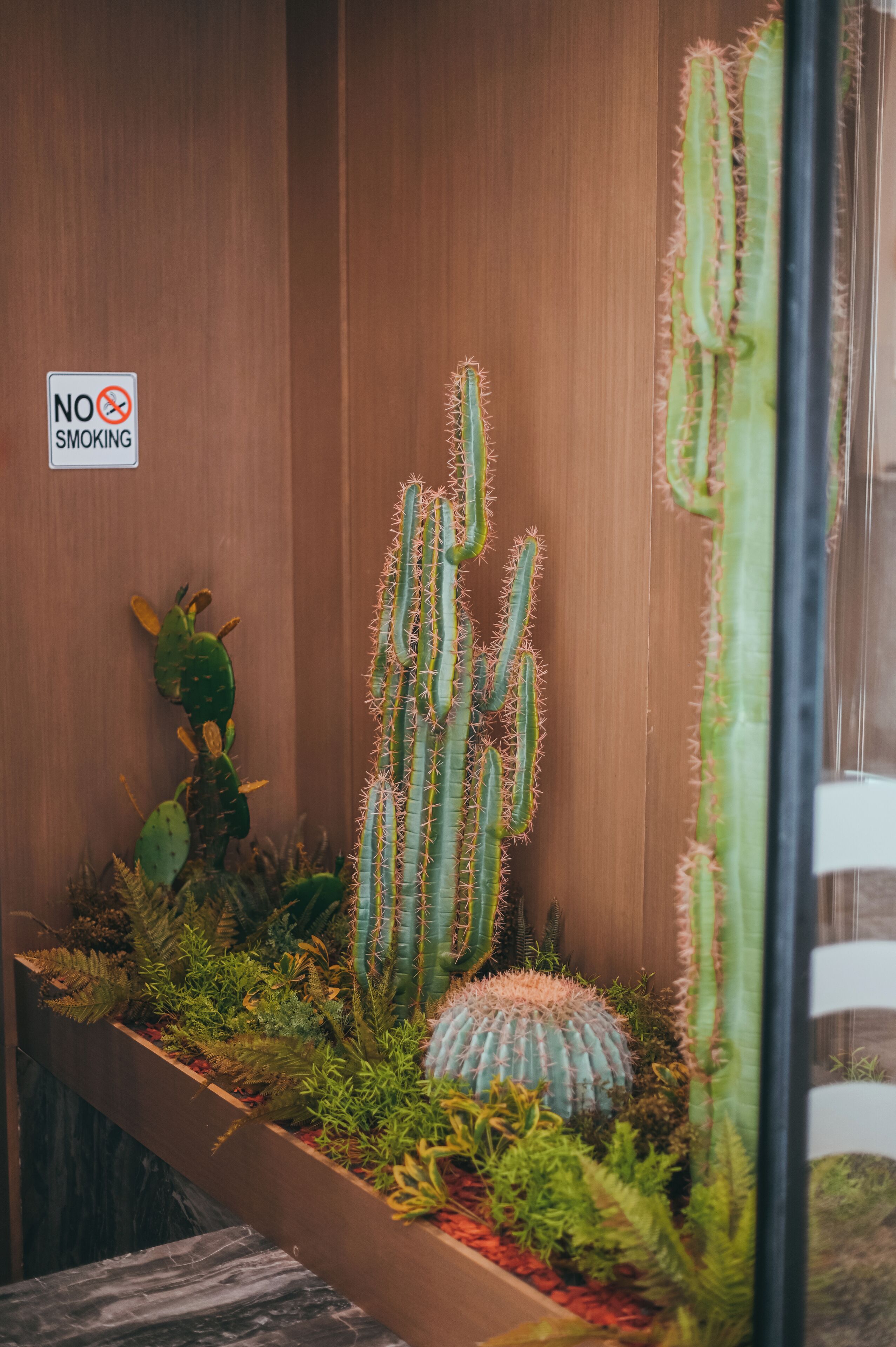 A cactus display with a 'No Smoking' sign, wooden paneling, and a variety of cacti and succulents.