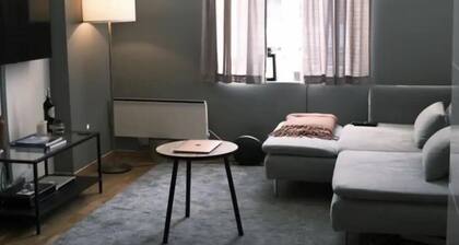 Cozy studio apartment