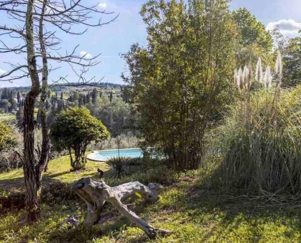 A natural landscape with trees, a body of water, and a stone structure.