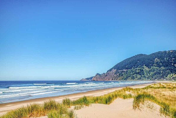 A beach with sand dunes and a forested hill in the background.