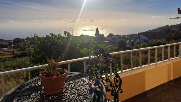 A balcony with a potted plant, overlooking a coastal landscape with houses and greenery. - Calheta Countryside - Studio with Balcony (Ilha da Madeira)