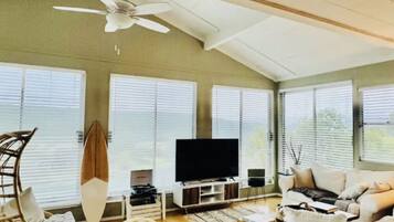 Smart TV, chimenea, videojuegos y reproductor de DVD