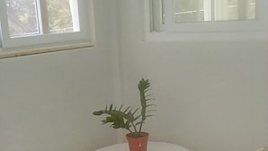 Taula petita rodona amb estovatge blanc, envoltada per dues cadires blanques. Hi ha una planta en test sobre la taula.