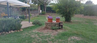 Rustic Elegance at Two Steps from Rome: Relaxation among Exposed Beams and Cotto