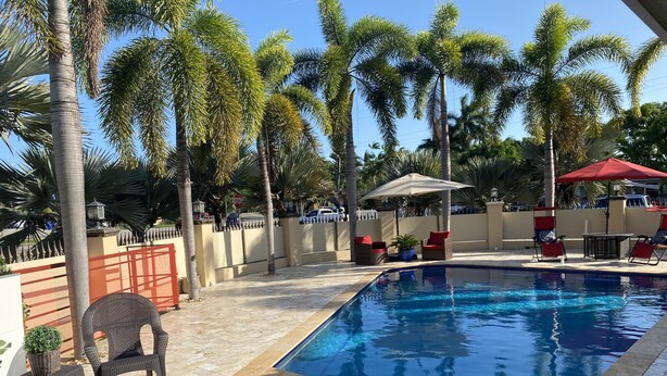 A swimming pool with lounge chairs and umbrellas, surrounded by palm trees and a fence. - GuestHome 5 minutes from Miami Airport with Heated Pool  (Miami)